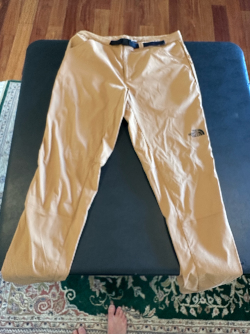 The North Face Men’s Tan Softshell Pants waist 34
